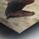 Nevada Mustang 2 3 Metal print