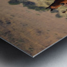 Nevada Mustang 2 5 Metal print