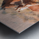 Nevada Mustang 2 6 Metal print