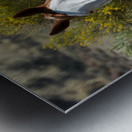 Nevada Mustang 2 7 Metal print