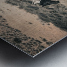 Nevada Mustang 3 1 Metal print