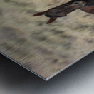 Nevada Mustang 3 2 Metal print