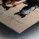 Nevada Mustang 3 5 Metal print