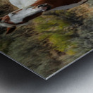 Nevada Mustang 3 6 Metal print