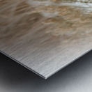 Nevada Wild Winter2 1 Metal print