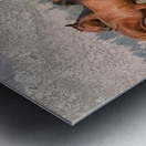 Nevada Wild 15 1 Metal print