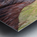 Nevada Wild 165 1 Metal print