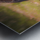 Nevada Wild 165 1 Metal print