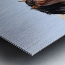 Nevada Wild 165 1 Metal print