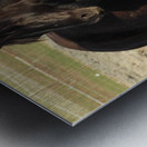 Nevada Wild 165 1 Metal print