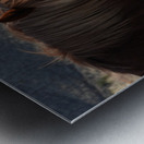 Nevada Wild 165 1 Metal print