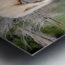 Nevada Wild 165 1 Metal print