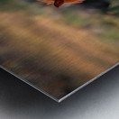 Nevada Wild 165 1 Metal print