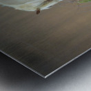 Nevada Wild 165 1 Metal print