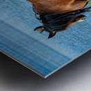 Nevada Wild 165 1 Metal print