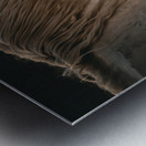 Nevada Wild 165 1 Metal print