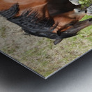 Nevada Wild 165 1 Metal print