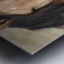 Nevada Wild 165 1 Metal print