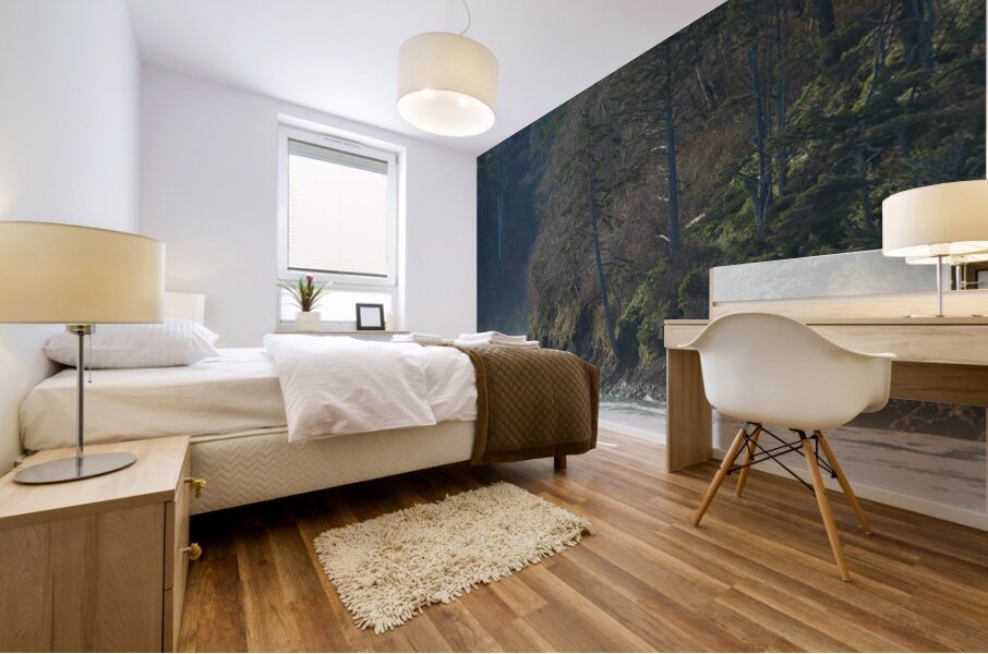 Oregon Coast 1 Mural print