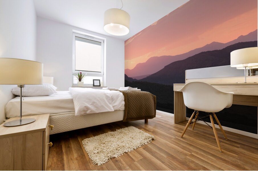 Nevada Landscapes 2 Mural print