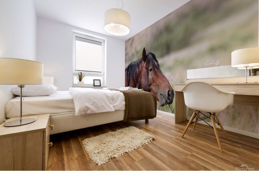 Nevada Virginia Range Series 1 Mural print