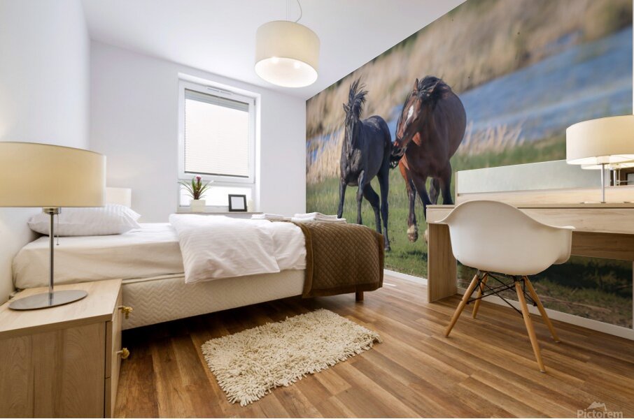 Nevada Virginia Range Series 18 Mural print