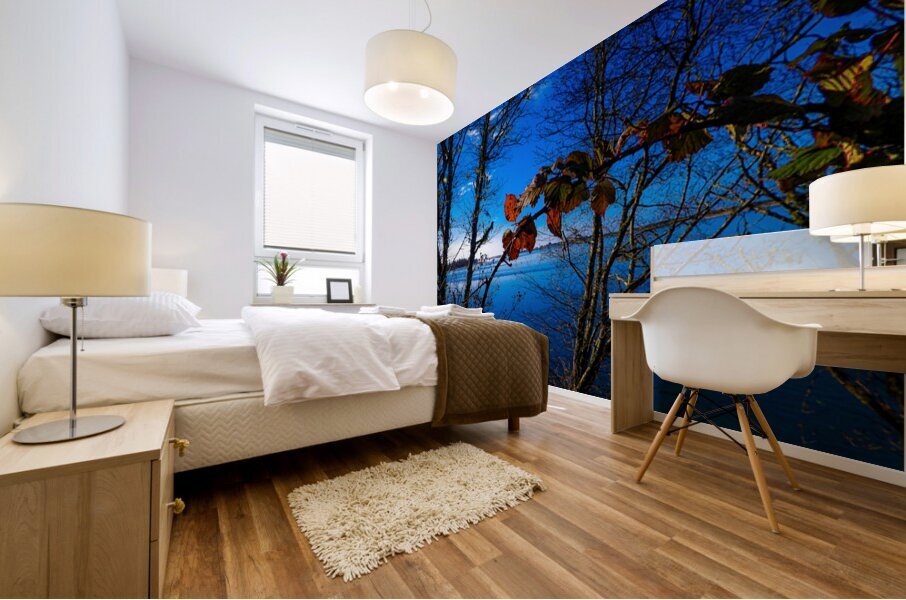 Oregon Coast 3 Mural print