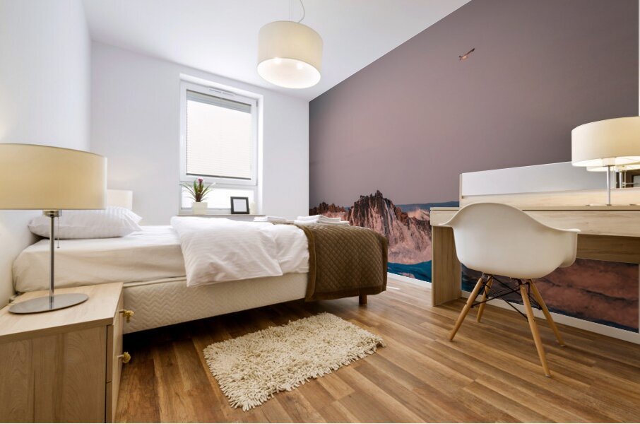 Oregon Coast 3 Mural print