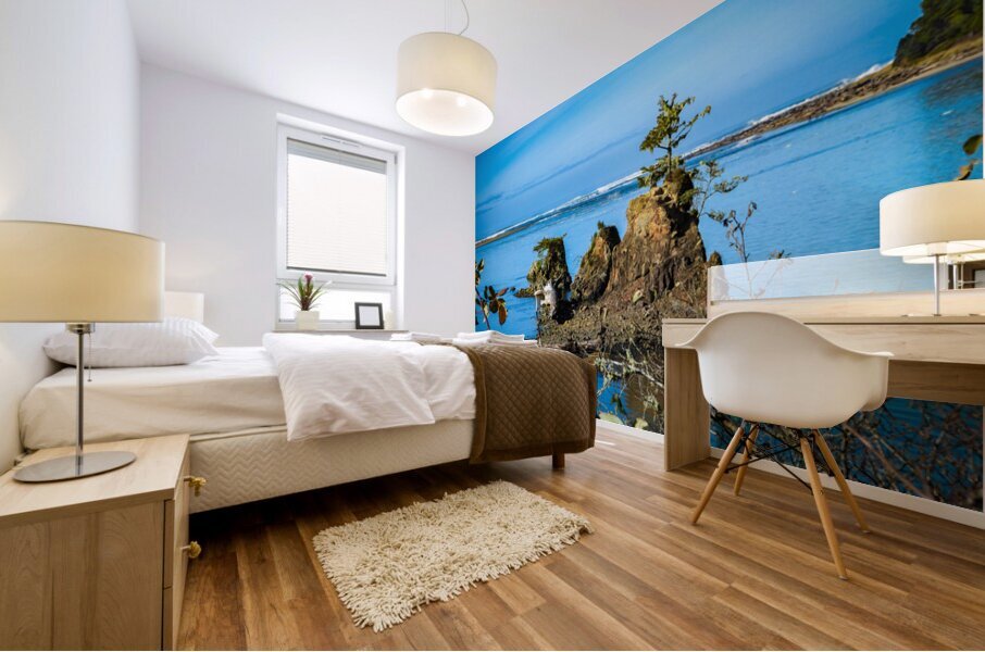 Oregon Coast 2 Mural print