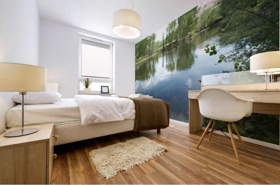 Nevada Landscape 7 Mural print