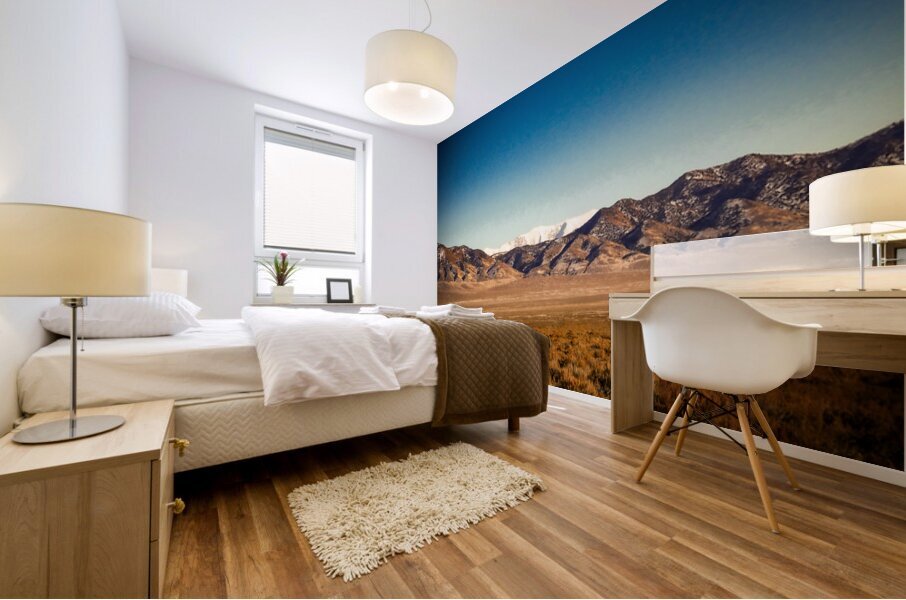 Nevada Landscape 6 Mural print