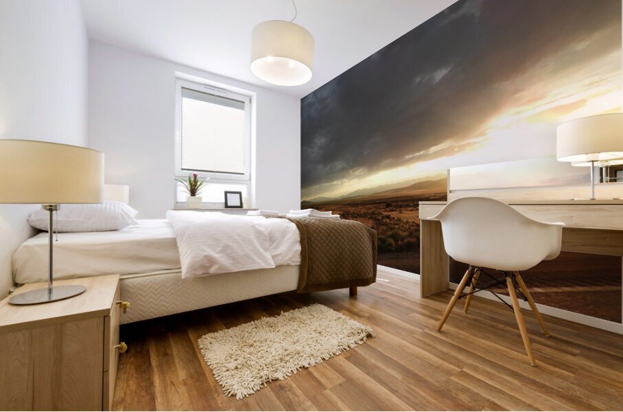 Nevada Landscape 3 Mural print