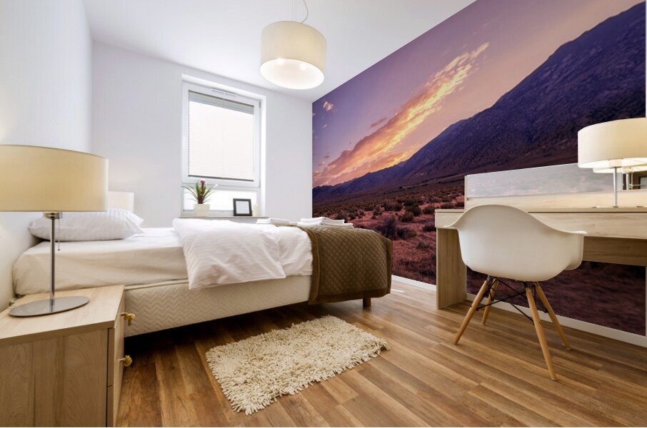 Nevada Landscapes 1 Mural print