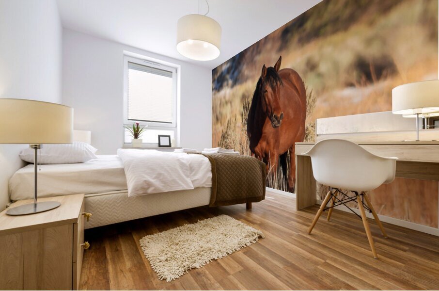 Wild Horse Nevada Series1 Mural print