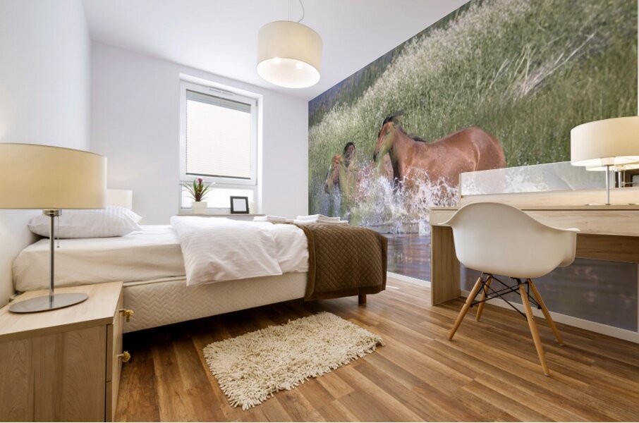 Wild Horse Nevada Series 4 Mural print