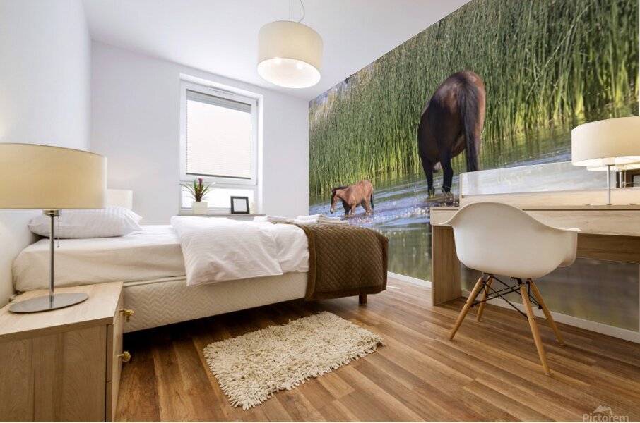 Wild Horse Nevada Series 6 Mural print