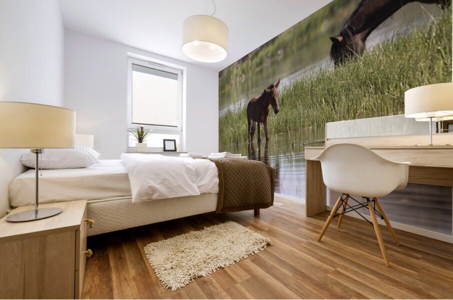 Wild Horse Nevada Series 7 Mural print