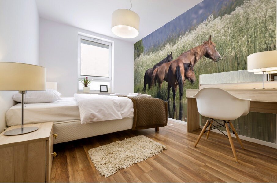 Wild Horse Nevada Series 9 Mural print