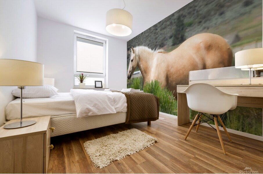 Wild Horse Nevada Series 10 Mural print