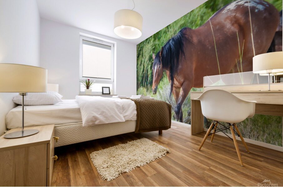 Wild Horse Nevada Series 11 Mural print