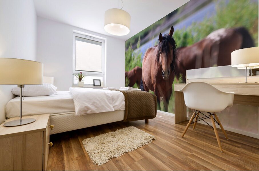 Nevada Virginia Range Series Mural print