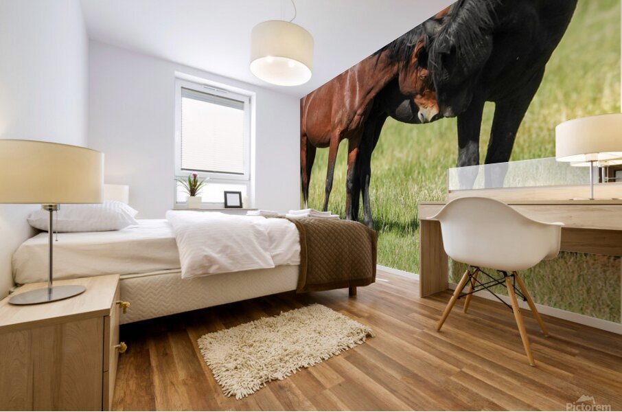 Nevada Virginia Range Series 5 Mural print