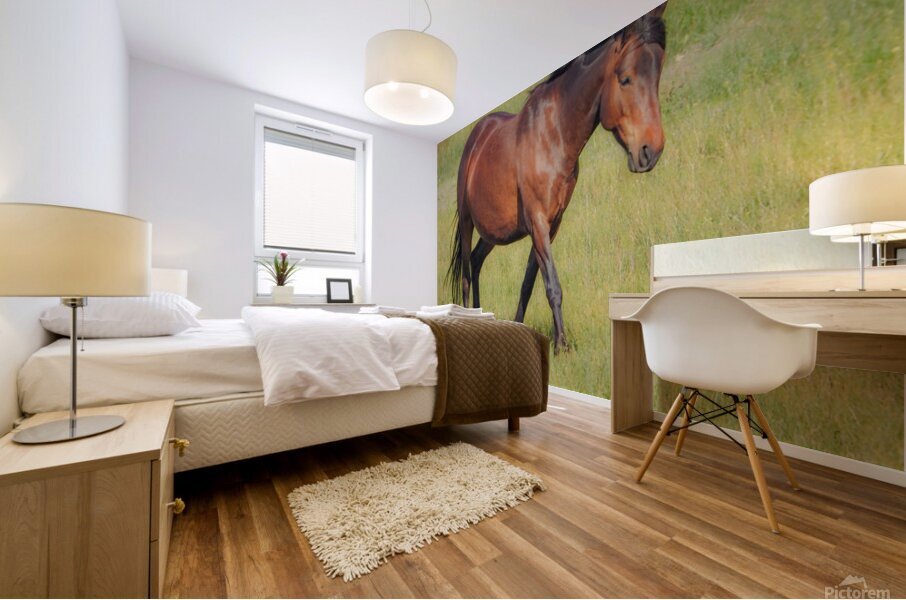 Nevada Virginia Range Series 6 Mural print