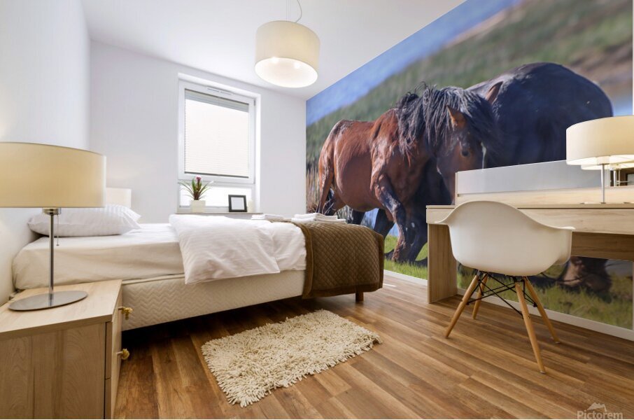 Nevada Virginia Range Series 13 Mural print