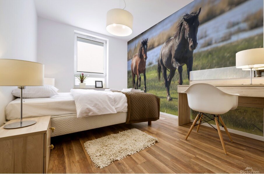 Nevada Virginia Range Series 14 Mural print