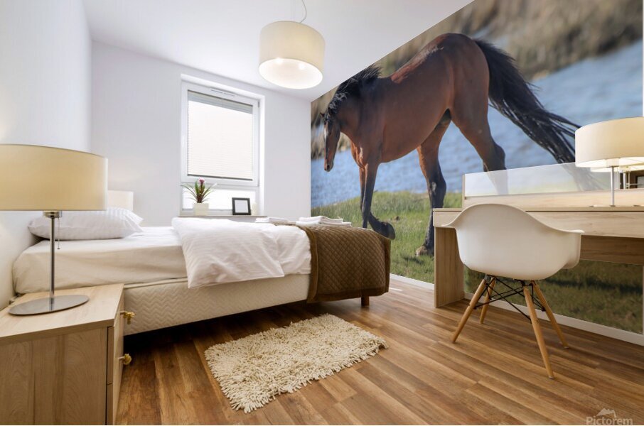 Nevada Virginia Range Series 15 Mural print