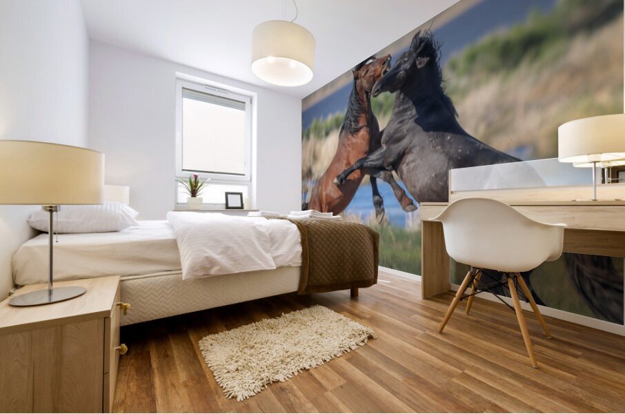 Nevada Virginia Range Series 16 Mural print