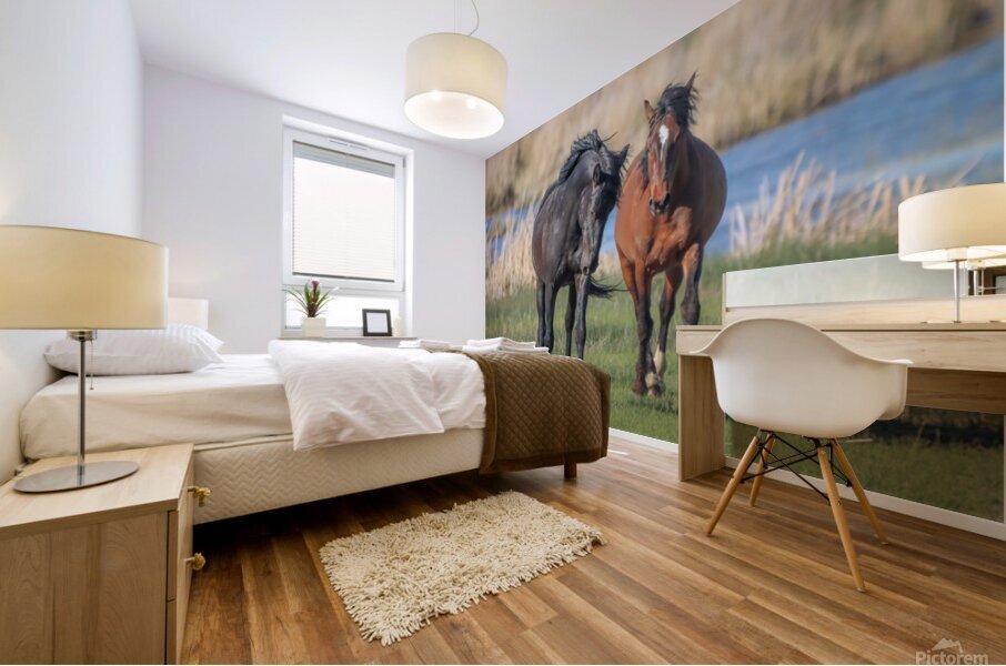 Nevada Virginia Range Series 19 Mural print