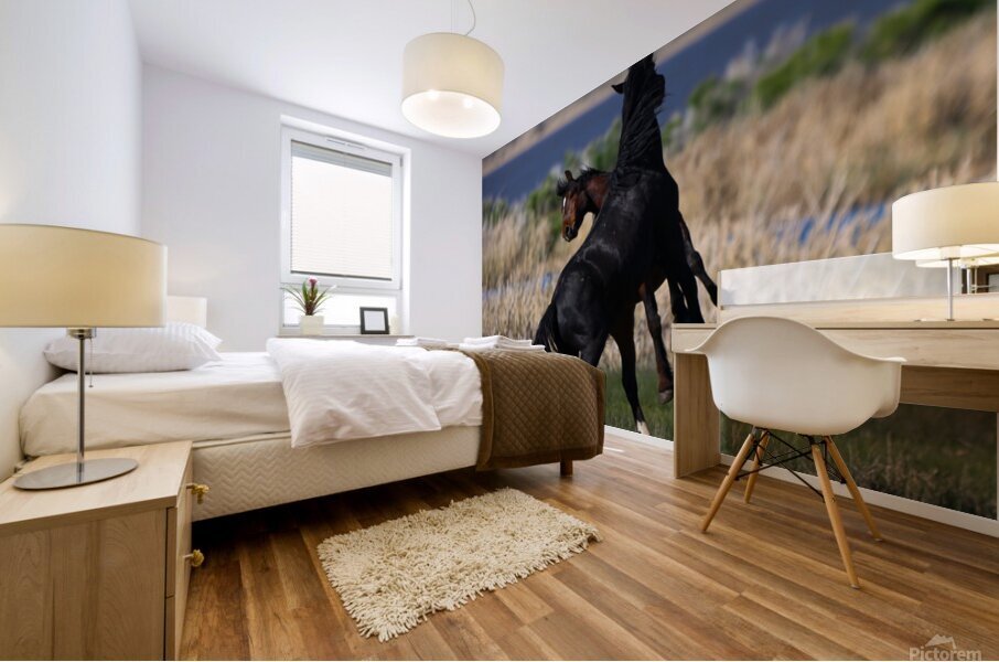 Nevada Virginia Range Series 21 Mural print