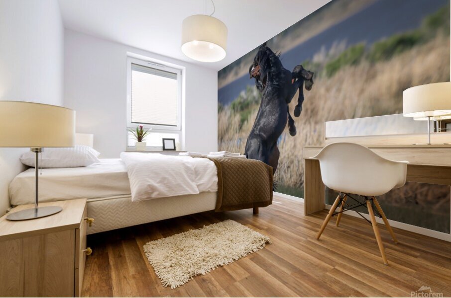 Nevada Virginia Range Series 23 Mural print